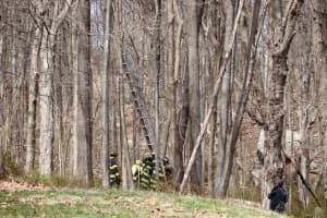 Cat Rescued From Tree 30 Feet Up: Budd Lake FD
