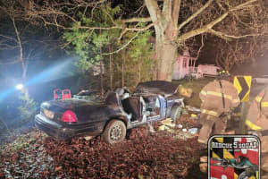 Woman Extricated, Airlifted To Trauma Center After Crashing Into St. Mary's County Tree