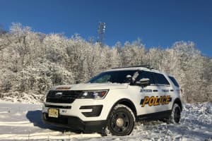 BUSTED: Police Nab Pair In String Of Morris County Car Burglaries