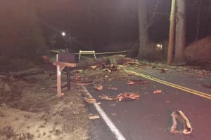 Wind, Downed Trees Knock Out Power In Rockland