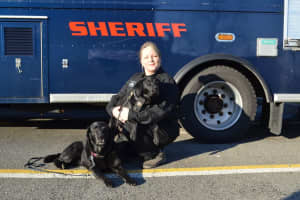 Rockland County Sheriff Welcomes New K9 Officer