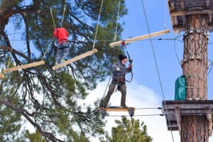 Treetop Zip-Line Course Could Be Coming Soon To Morris County