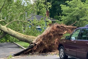 Thousands Still Without Power After Severe Storms Slam Suffolk