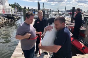 First Responders Rescue Dog From The Water In Bayonne