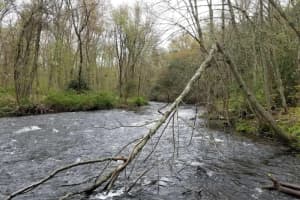 River Tragedy: CT Woman Dies When Canoe Overturns In Clinton