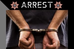 Westchester Man Arrested After Reaching Into Sheriff Deputy's Vehicle