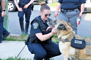 Alexandria Police Honors K9 Who Served In Afghanistan