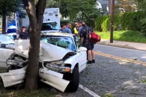 PHOTOS: 1 Hospitalized After Car Plows Into Ridgewood Tree