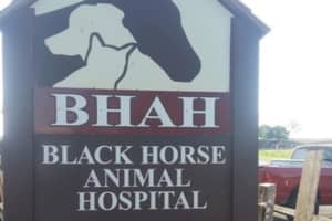 More Than $122K Stolen From Lancaster County Horse Hospital