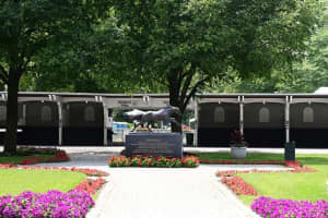 Two Racehorses Found Dead After Fire Breaks Out At Belmont Stables