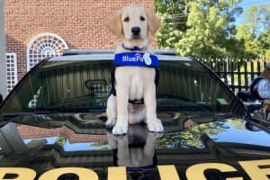Bedford Police Department Welcomes Future Service Dog