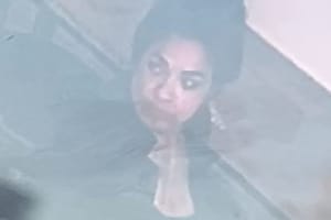 Know Her? Woman Wanted For Wallet Theft On Long Island