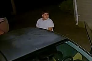 Police Search For Trio Of Springfield Car Break-In Suspects