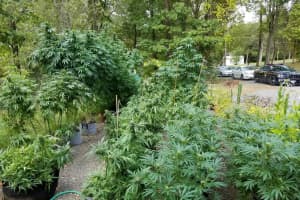 Man Sentenced For Operating Dutchess County Grow House