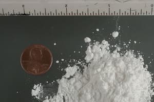 Man Sentenced For Trafficking Cocaine In Nassau County