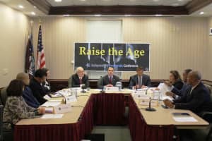 Sens. Carlucci, Klein Support Raising The Age At Ossining Roundtable