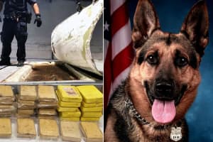 Port Authority K9 Detects Compartment That Concealed 154 Pounds Of Coke In Fruit Trailer