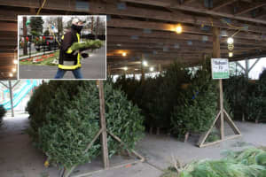 What Shortage? Washington Township Firefighters Have Plenty Of Christmas Trees For Sale