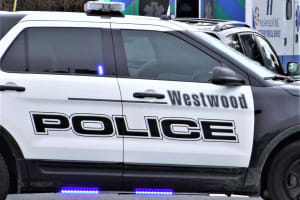 Victim Struck In Face With Airsoft Pellet In Westwood, Drive-By Shooter In Custody, Police Say