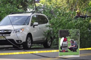 Downed Wires In Ridgewood Trap 15-Month-Old Toddler In SUV