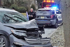Driver Hospitalized After SUV Slams Into Washington Township Tree