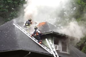 PHOTOS: Dogs Rescued After Lightning Strike Ignites Attic Fire In Ridgewood
