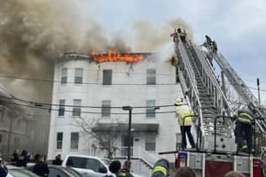 Cat Killed In 2-Alarm Fire That Scorched Roof Of Lynn Condo Building: Officials