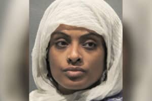 Maryland Woman Apprehended For Hitting Virginia Officer In The Face: Police