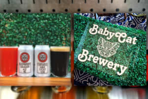 BabyCat Brewery Bringing Unique Blend Of Culture, Class To Kensington