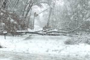 Nor'Easter: Thousands Without Power As Heavy Winds, Snow Pelt Massachusetts
