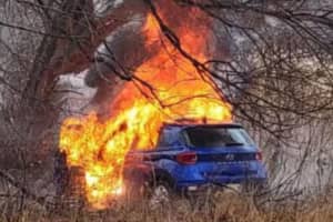 Car Bursts Into Flames After Ramming Into Tree In Hartford County: Police