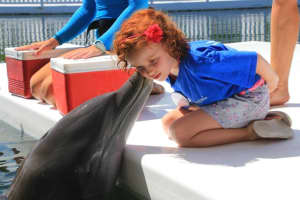Dolphin Dream Comes True For Ailing Paramus Girl, 6