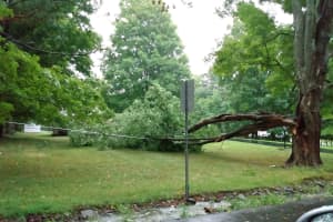 Storm Knocks Out Power To Thousands In Westchester