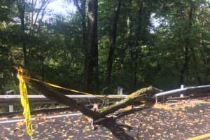 Wind Storm Knocks Out Power In Fairfield County