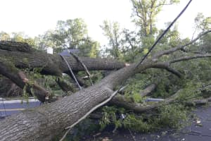 GW Parkway Road Closures Expected To Last For Days Due To Storm Damage (UPDATED)