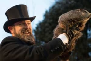 What Was Punxsutawney Phil's Prediction, More Winter Or Is It Time For Spring? (VIDEO)