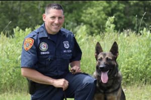 Police Dog Rescues Missing East Moriches Woman