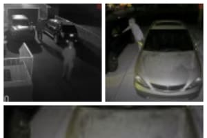KNOW THEM? Police Seek Bucks County Car Thieves