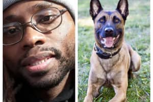 GoFundMe Created For Man Accused Of Killing K9 Frankie In Fitchburg Standoff