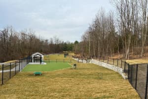 Take Your Dog Through An Agility Course At This Harford County Dog Park