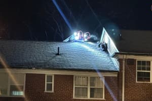 Man Killed Cat During 21-Hour Barricade That Ended On Fairfax County Rooftop: Police