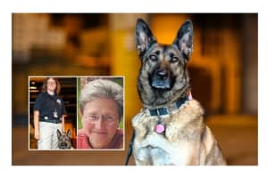 K9 Calendar Features Airport Bomb Dog Named For Ridgewood, NJ Woman Who Died In 9/11 Attack