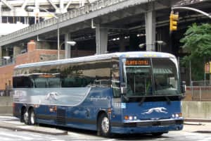Did You Know? Greyhound Gives Runaways A Free Ride Home