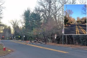 Stretch Of Knickerbocker Road In Tenafly Stays Closed After Toppled Tree Takes Down Pole, Wires