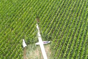 Pilot Survives Blairstown Crash Landing