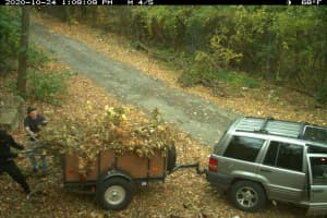 Seven Nabbed For Illegal Dumping In Western Mass