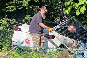 Driver, 18, Plows Tesla Through Fence On Westwood Curve