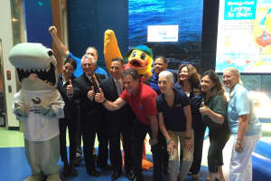 Stewie The Duck Brings Swimming Safety Message To Maritime Aquarium