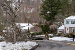 Cuomo Declares State Of Emergency For Westchester