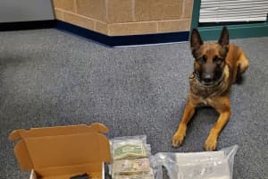 Man Busted In Scarsdale With Two Kilos Of Cocaine, Police Say